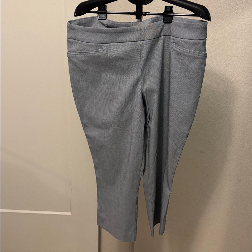 Women's Hilary Radley Pants XXL Gray Striped
